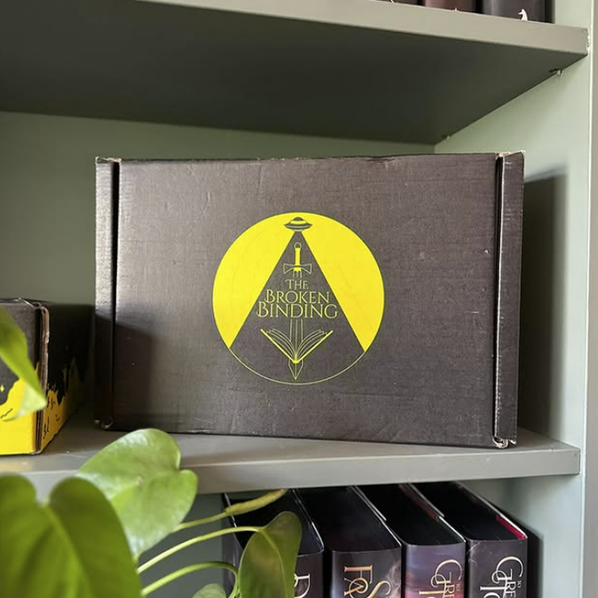 The Broken Binding Subscription Boxes